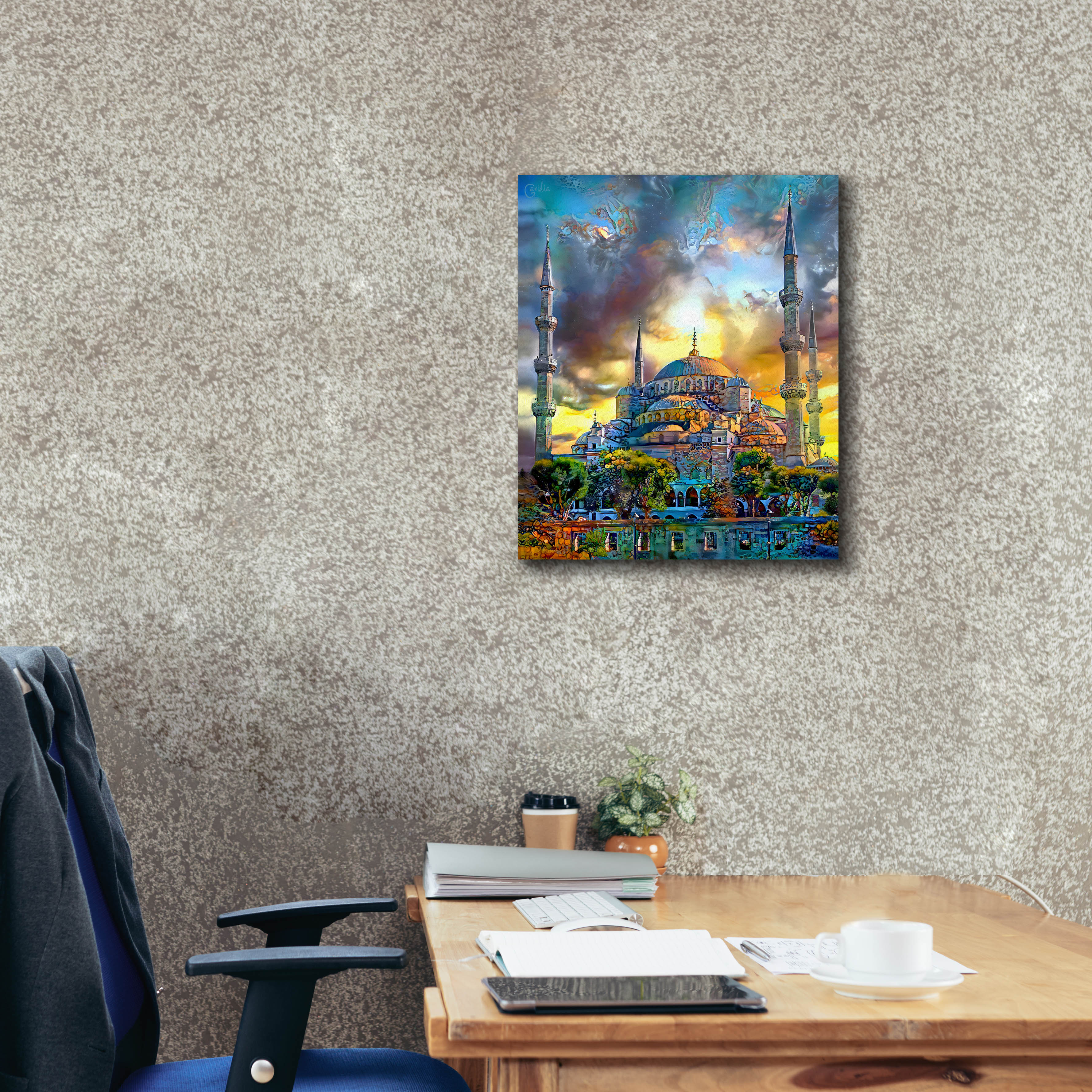 'Istanbul Turkey Blue Mosque' by Pedro Gavidia, Canvas Wall Art,20 x 24