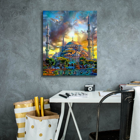 Image of 'Istanbul Turkey Blue Mosque' by Pedro Gavidia, Canvas Wall Art,20 x 24