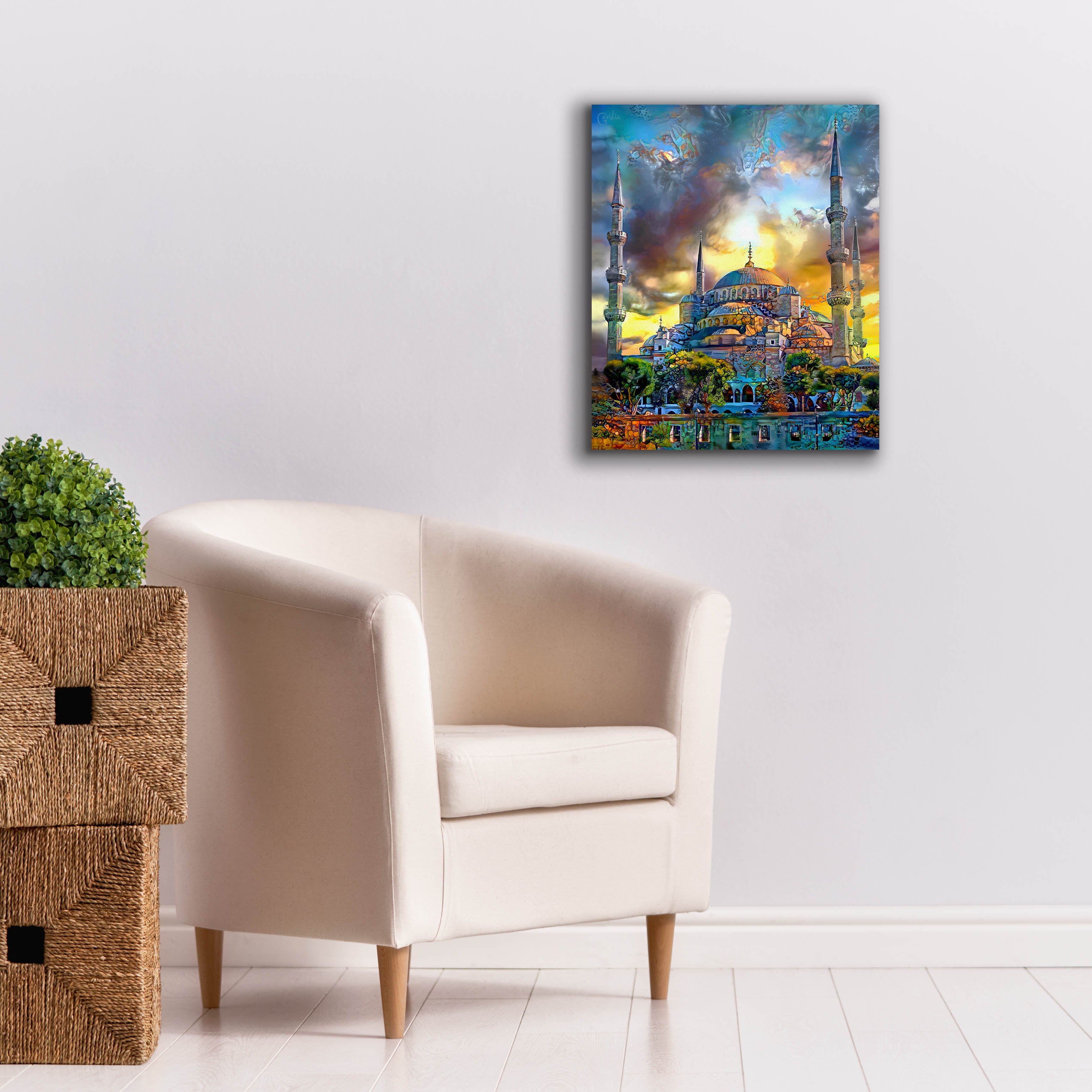 'Istanbul Turkey Blue Mosque' by Pedro Gavidia, Canvas Wall Art,20 x 24