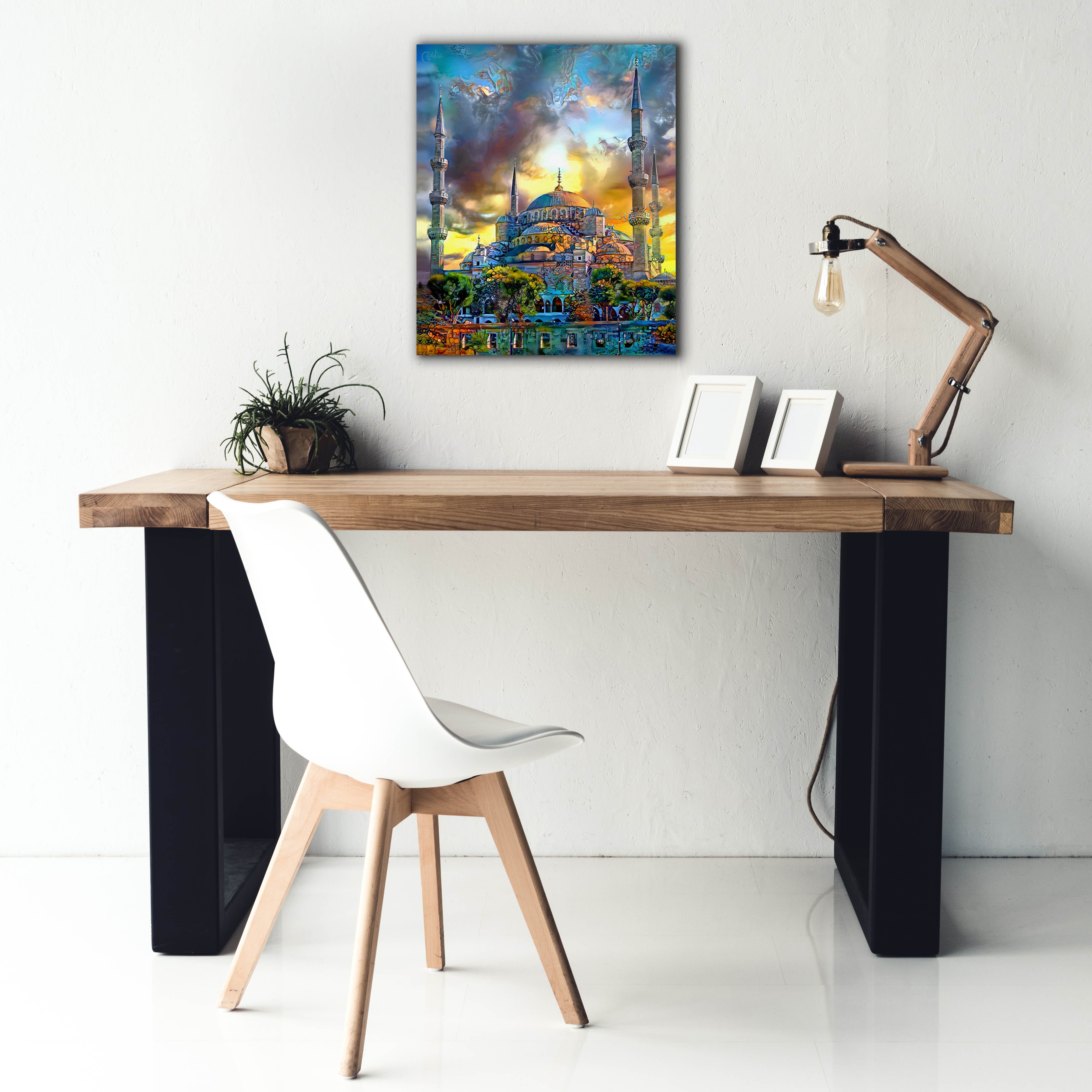 'Istanbul Turkey Blue Mosque' by Pedro Gavidia, Canvas Wall Art,20 x 24