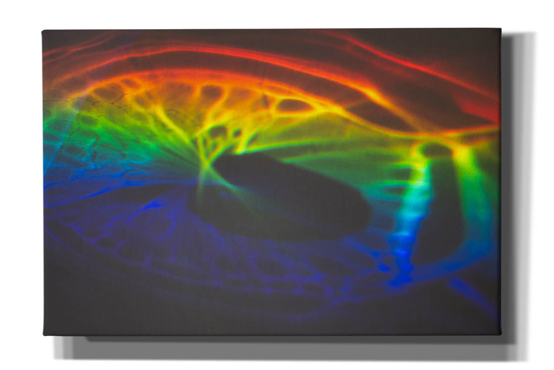 'This Is What I Looked Like Before I Was Human' by Epic Portfolio, Canvas Wall Art