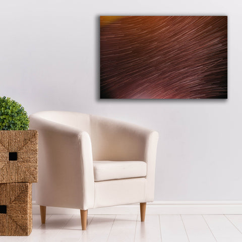 Image of 'Star Trails' by Epic Portfolio, Canvas Wall Art,40 x 26
