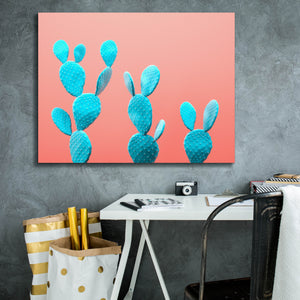 'Spikey Rabbits' by Epic Portfolio, Canvas Wall Art,34 x 26