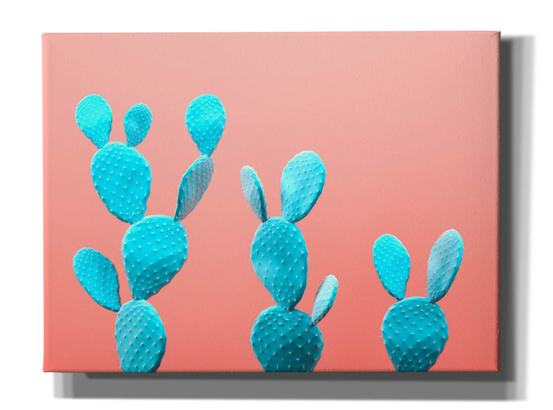 'Spikey Rabbits' by Epic Portfolio, Canvas Wall Art