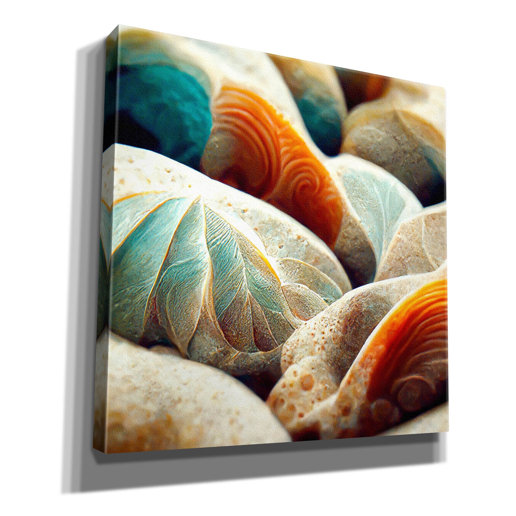 'Space Sea Shells' by Epic Portfolio, Canvas Wall Art