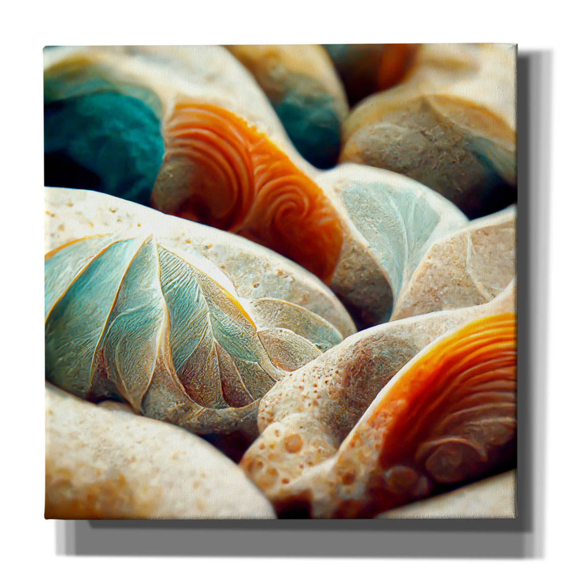 'Space Sea Shells' by Epic Portfolio, Canvas Wall Art