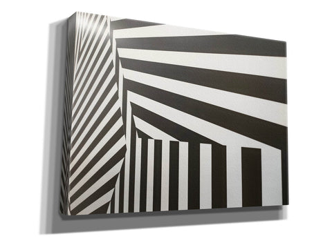 Image of 'Runover Zebra' by Epic Portfolio, Canvas Wall Art