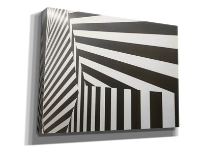 'Runover Zebra' by Epic Portfolio, Canvas Wall Art