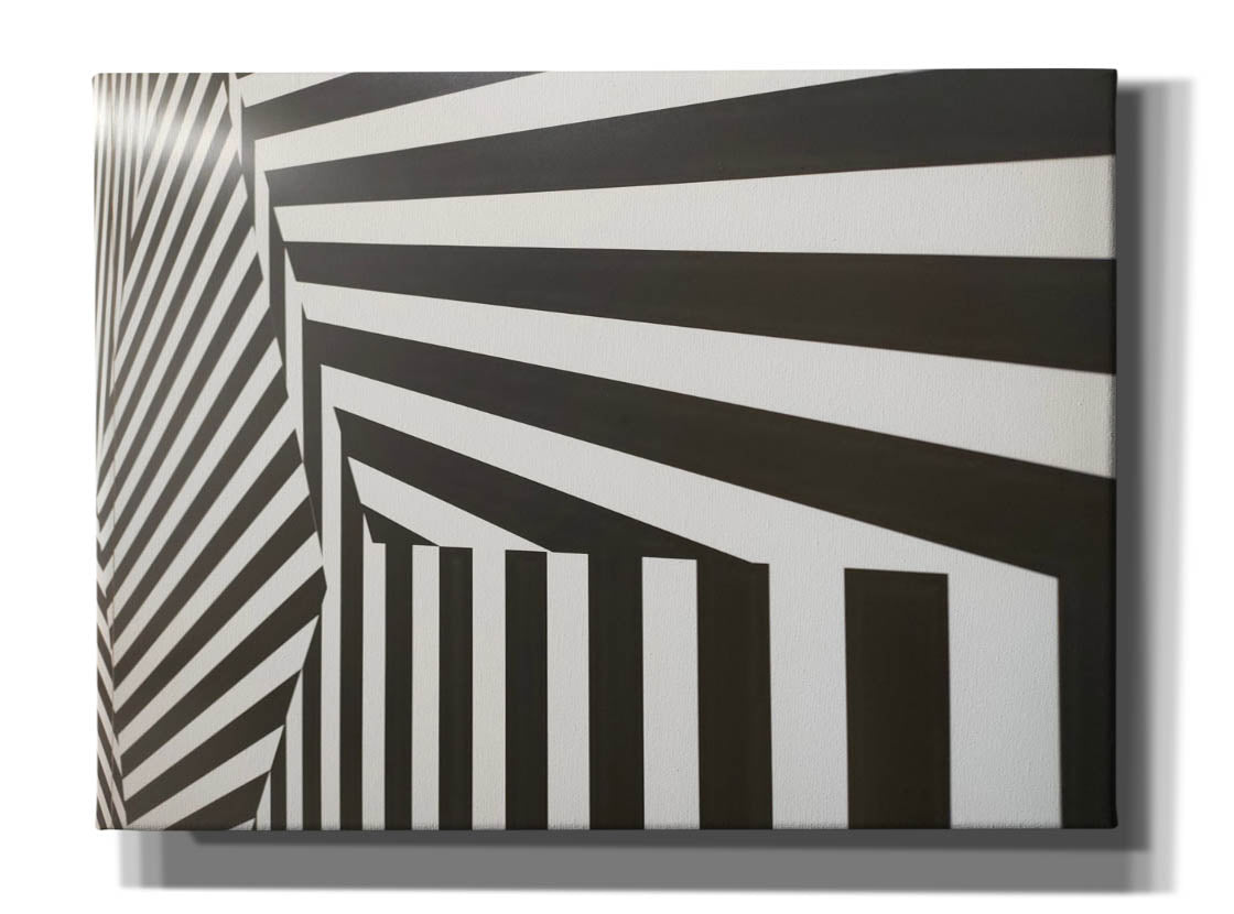 'Runover Zebra' by Epic Portfolio, Canvas Wall Art