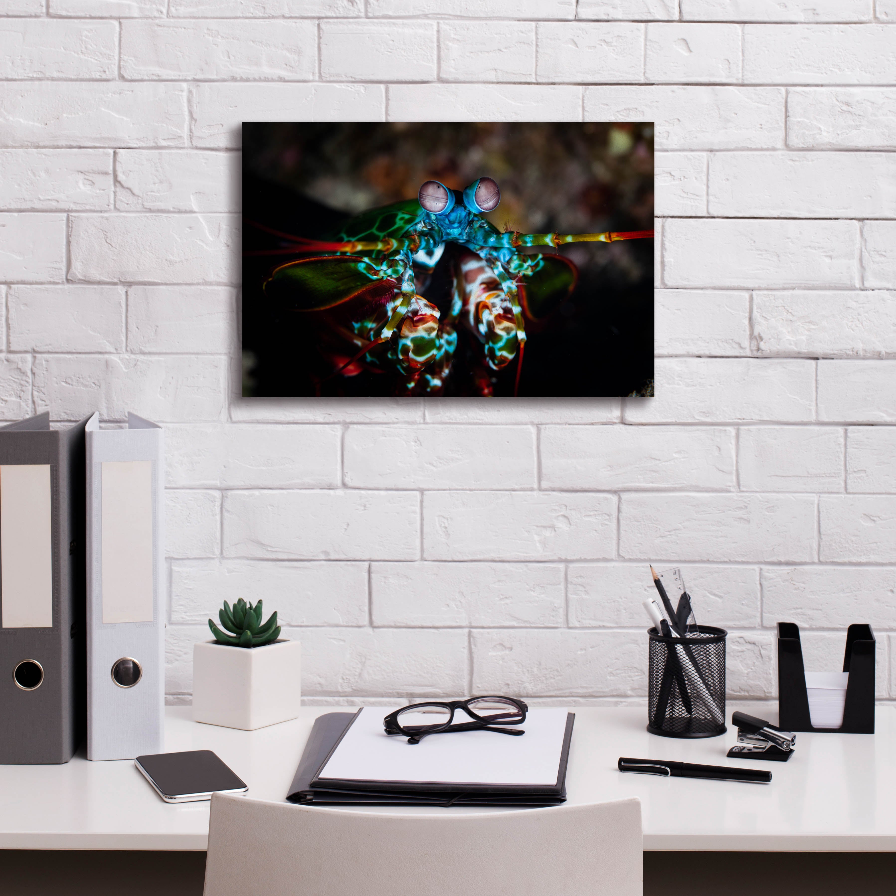 'Peacock Mantis Shrimp' by Epic Portfolio, Canvas Wall Art,18 x 12