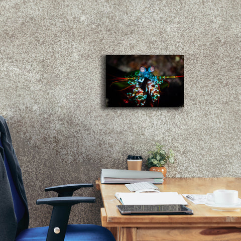 Image of 'Peacock Mantis Shrimp' by Epic Portfolio, Canvas Wall Art,18 x 12