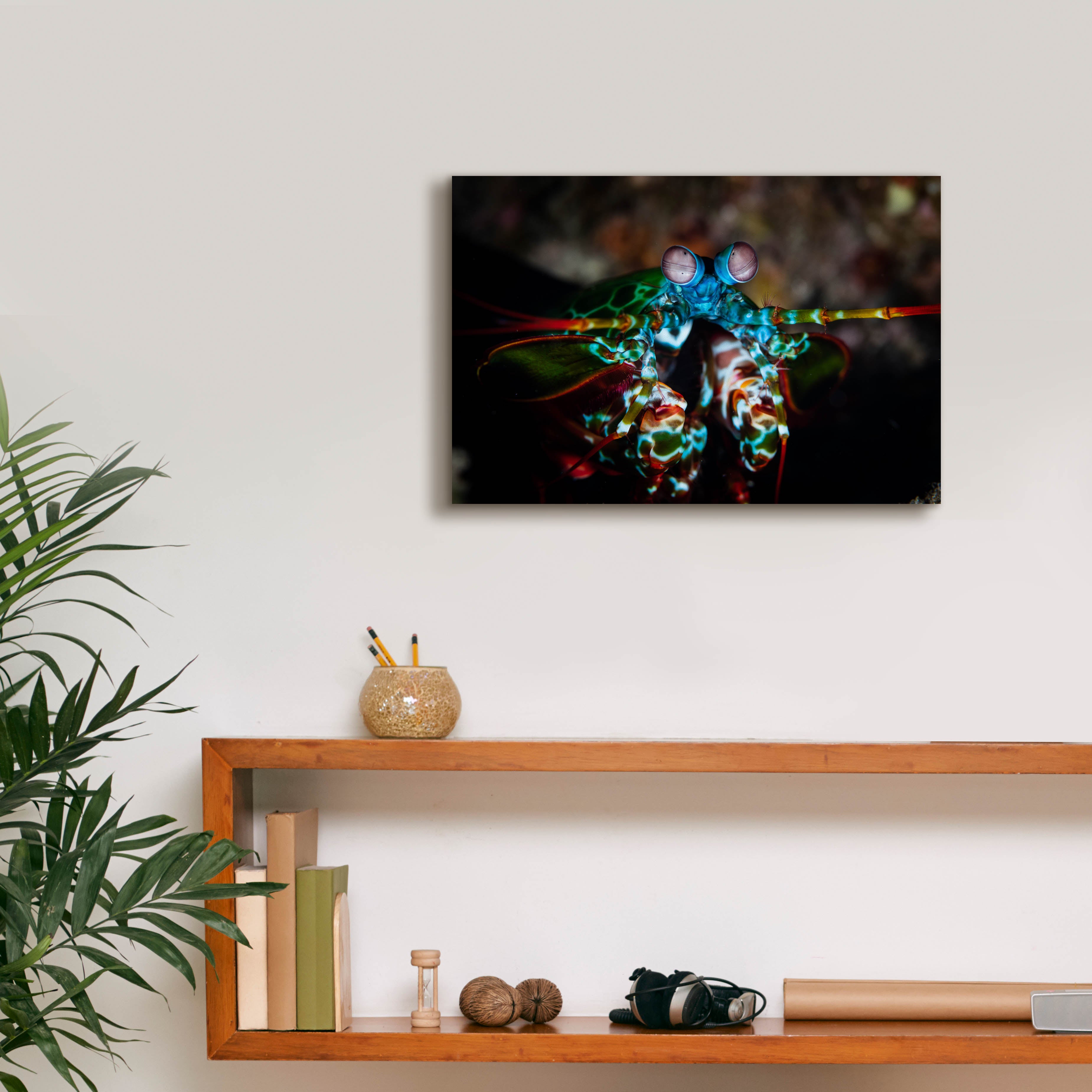'Peacock Mantis Shrimp' by Epic Portfolio, Canvas Wall Art,18 x 12