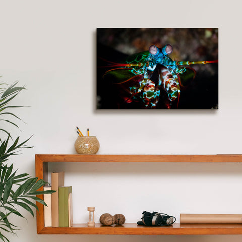 Image of 'Peacock Mantis Shrimp' by Epic Portfolio, Canvas Wall Art,18 x 12