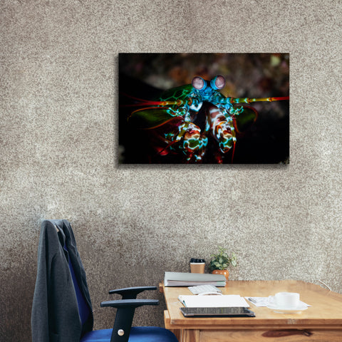 Image of 'Peacock Mantis Shrimp' by Epic Portfolio, Canvas Wall Art,40 x 26