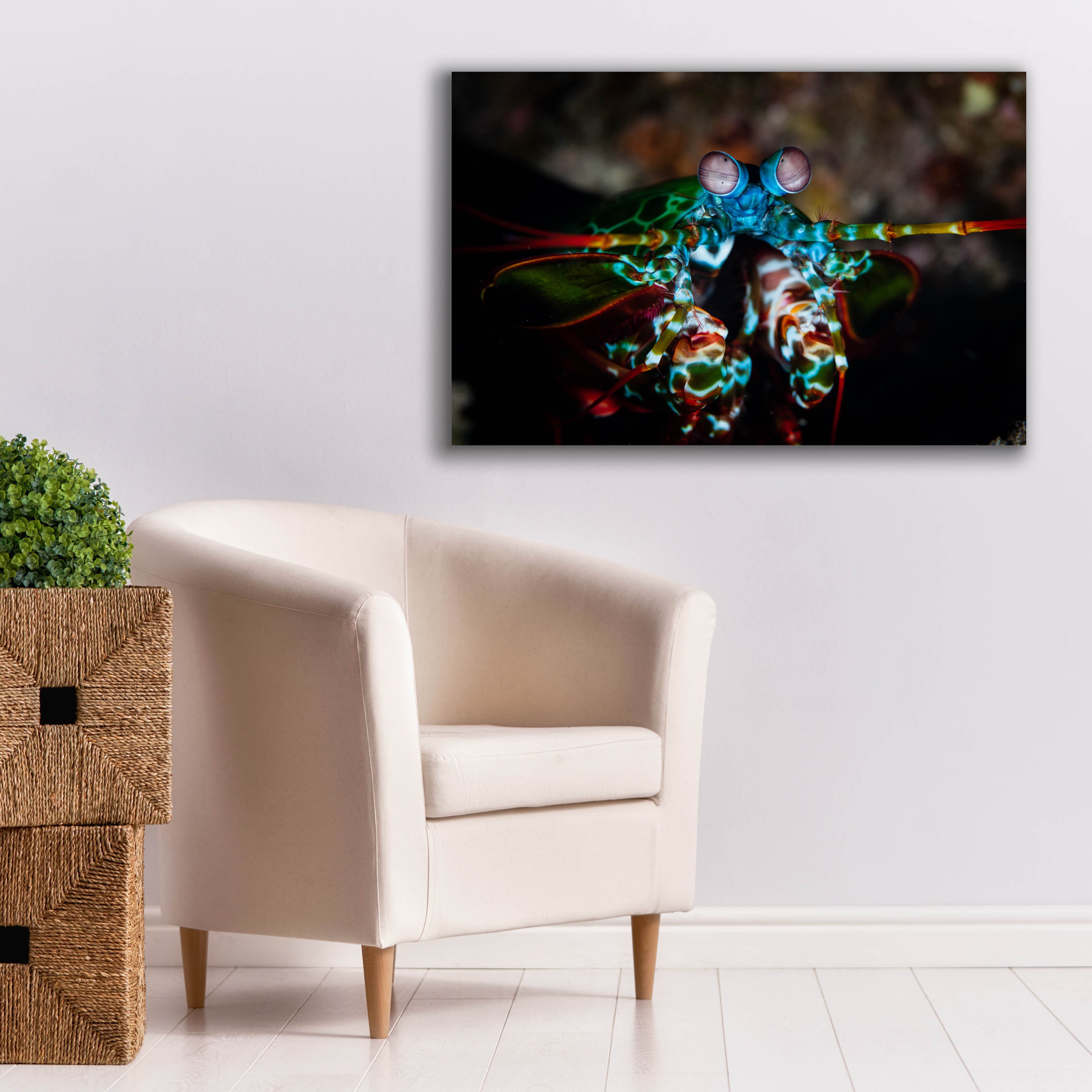 'Peacock Mantis Shrimp' by Epic Portfolio, Canvas Wall Art,40 x 26
