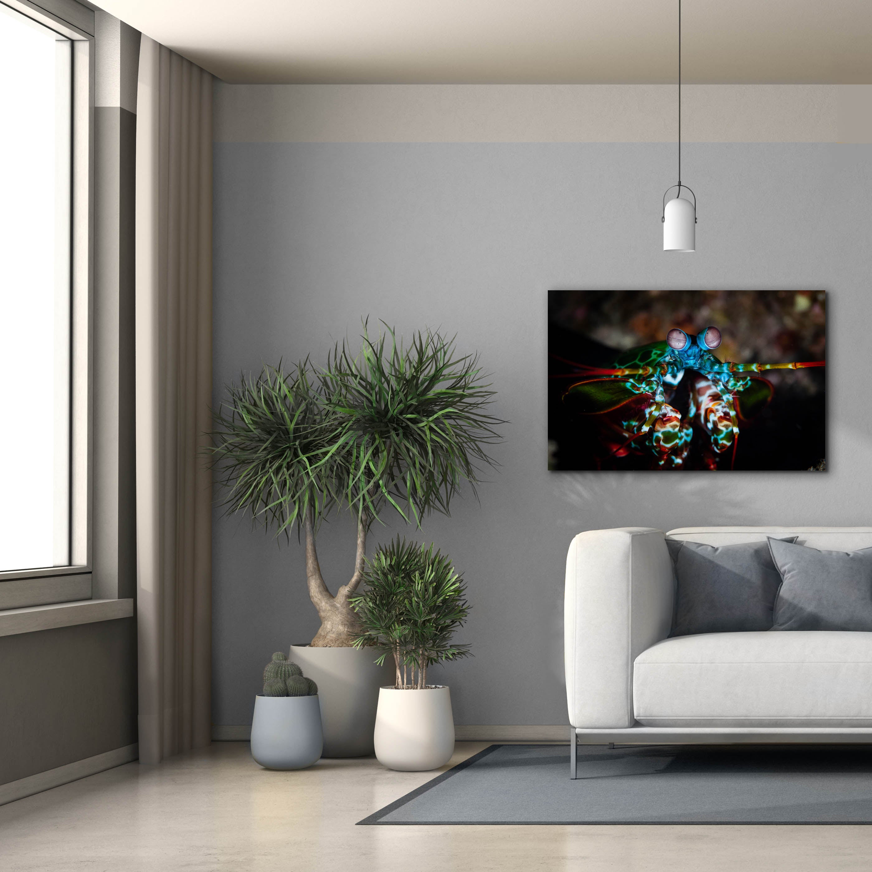 'Peacock Mantis Shrimp' by Epic Portfolio, Canvas Wall Art,40 x 26
