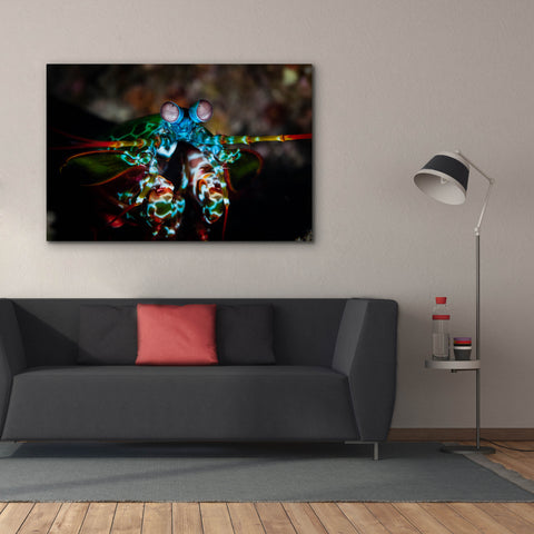 Image of 'Peacock Mantis Shrimp' by Epic Portfolio, Canvas Wall Art,60 x 40