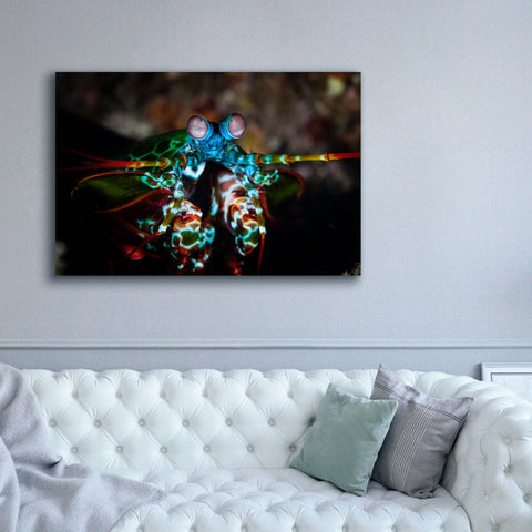 Image of 'Peacock Mantis Shrimp' by Epic Portfolio, Canvas Wall Art,60 x 40