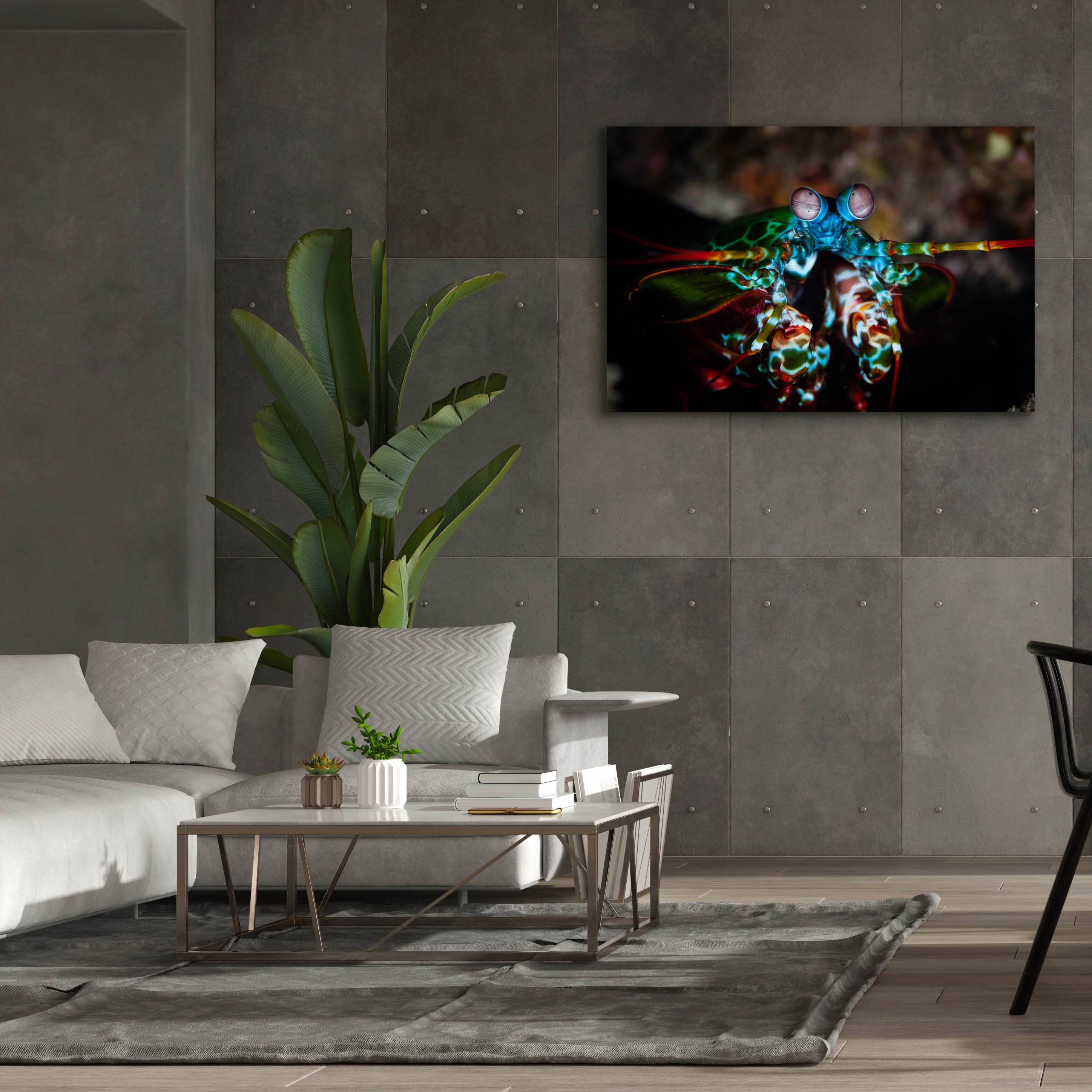 'Peacock Mantis Shrimp' by Epic Portfolio, Canvas Wall Art,60 x 40