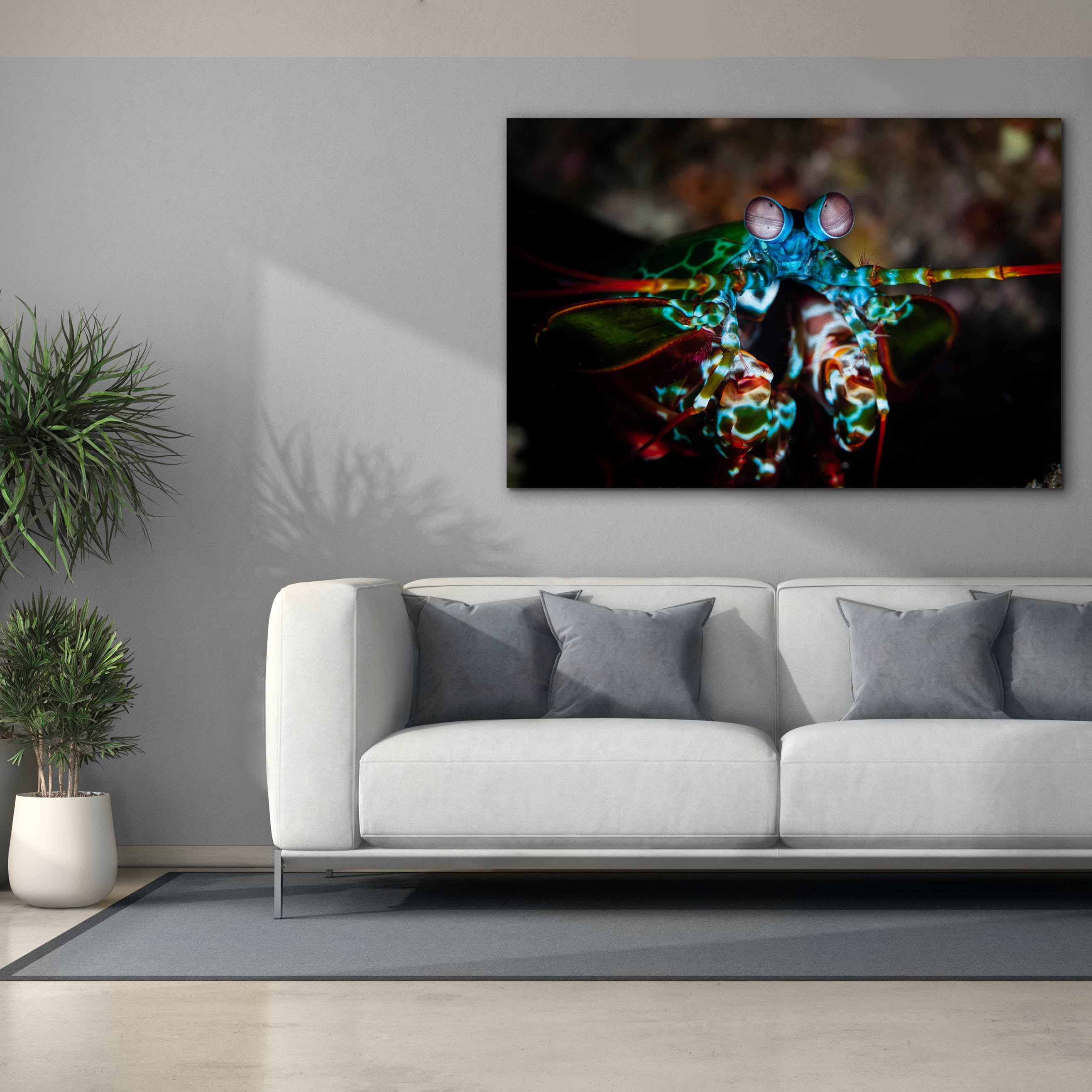 'Peacock Mantis Shrimp' by Epic Portfolio, Canvas Wall Art,60 x 40