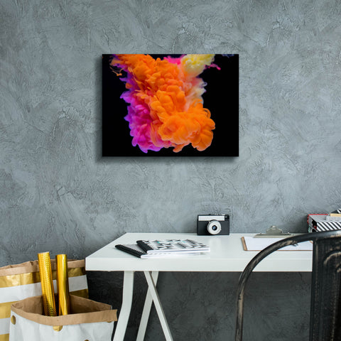 Image of 'Orange Burst' by Epic Portfolio, Canvas Wall Art,16 x 12