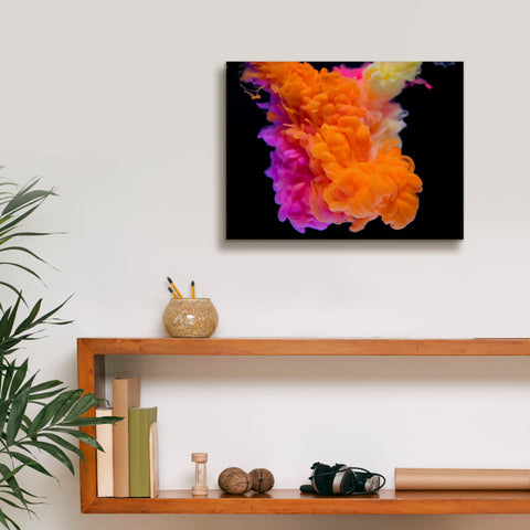 Image of 'Orange Burst' by Epic Portfolio, Canvas Wall Art,16 x 12