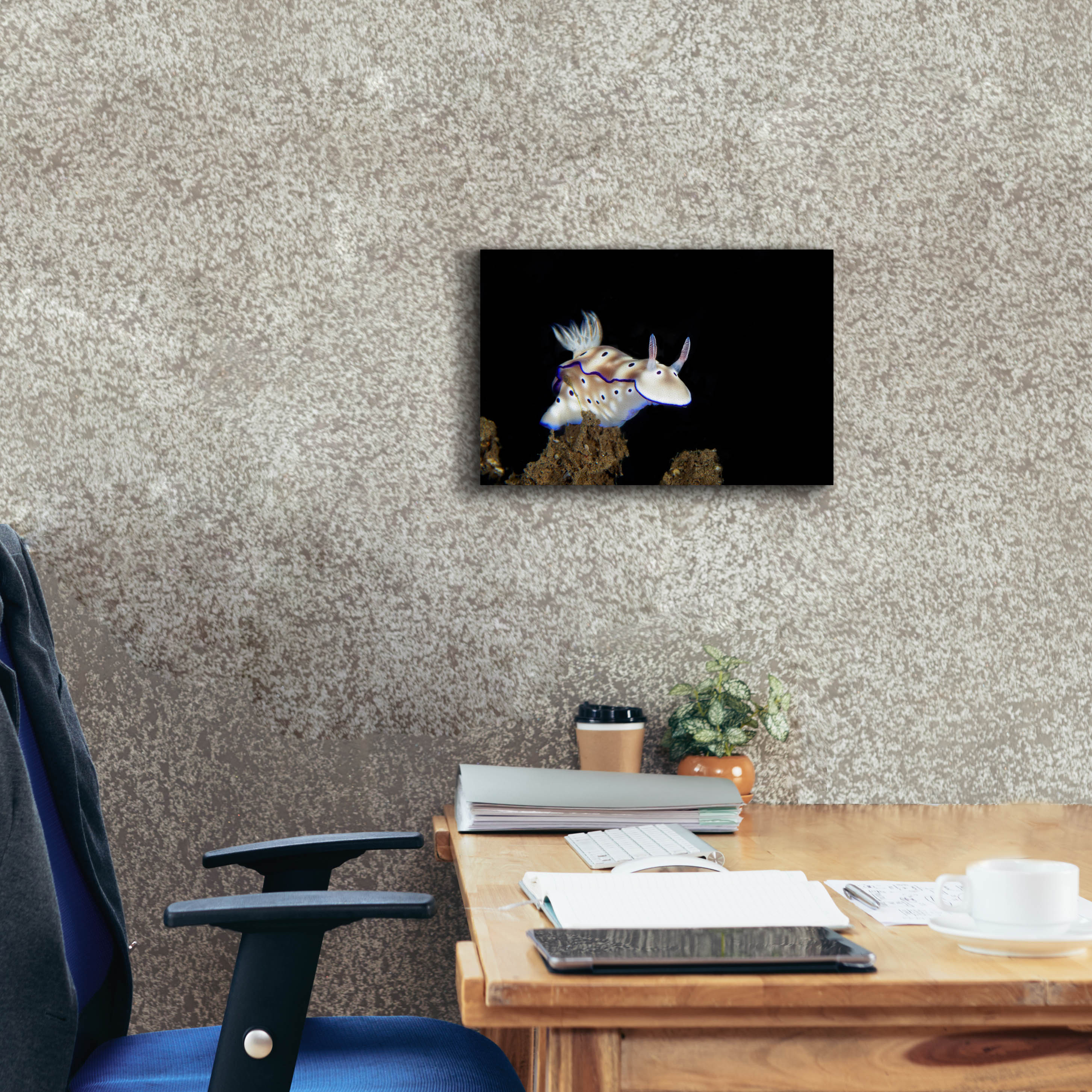 'Nudibranch On Coral Reef' by Epic Portfolio, Canvas Wall Art,18 x 12