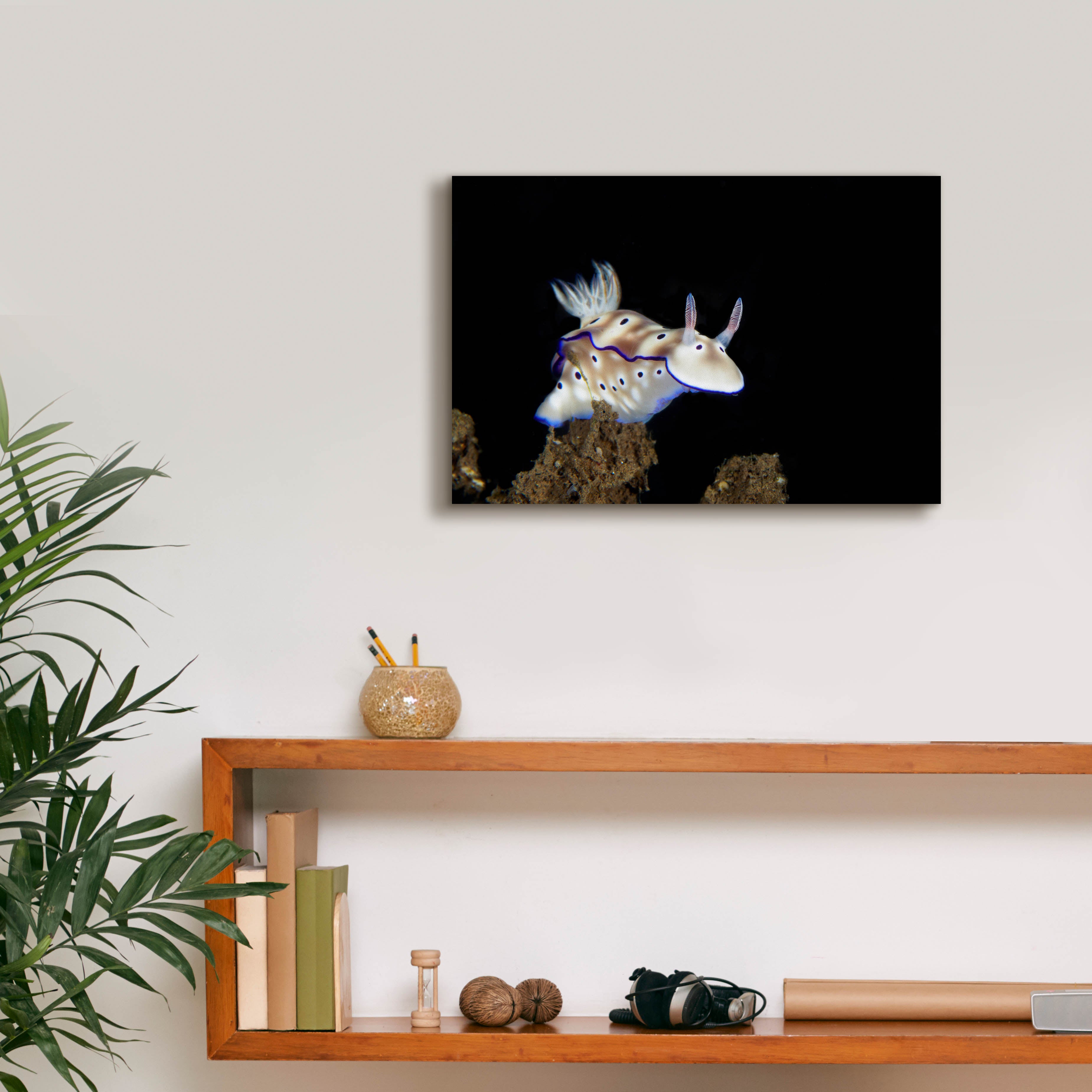 'Nudibranch On Coral Reef' by Epic Portfolio, Canvas Wall Art,18 x 12