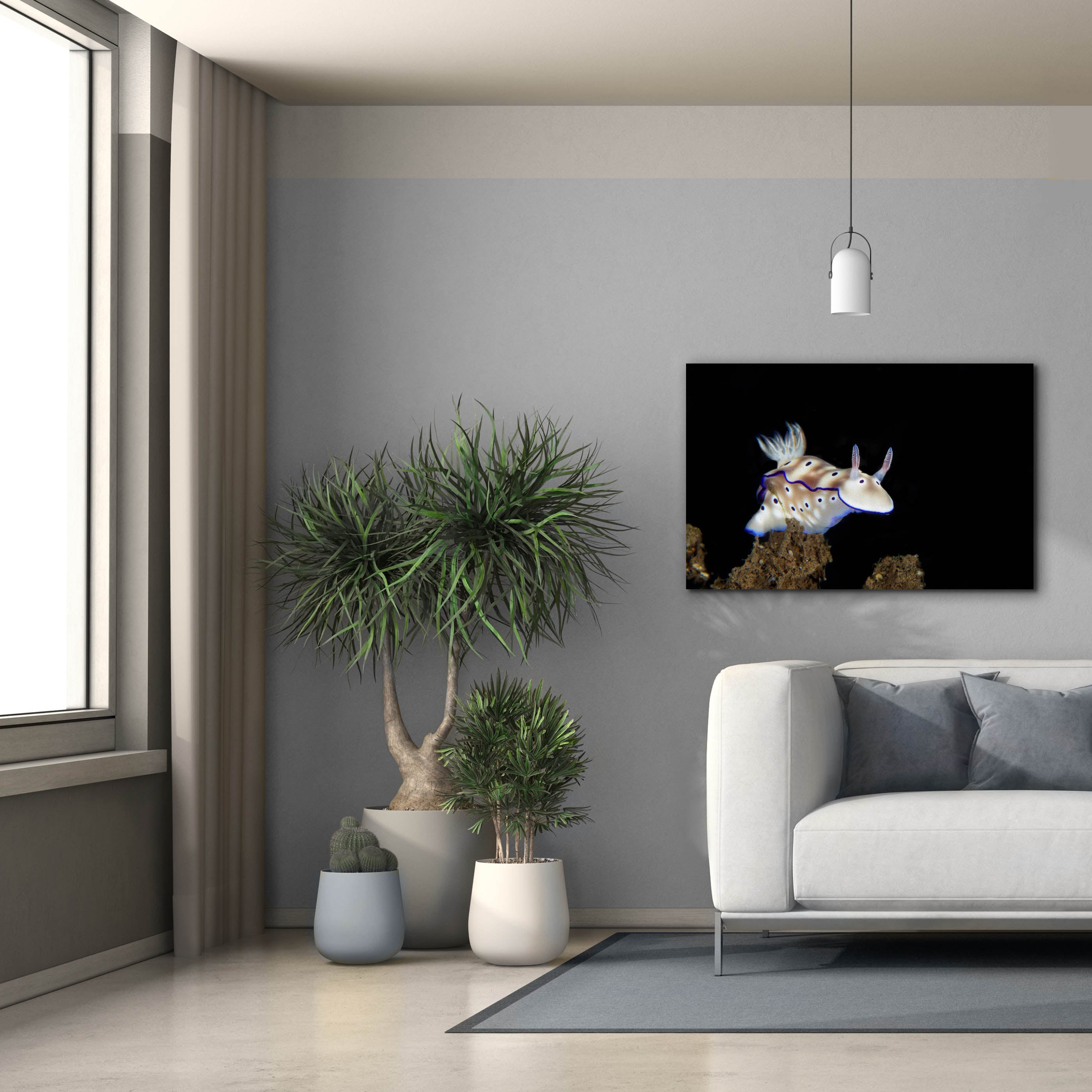 'Nudibranch On Coral Reef' by Epic Portfolio, Canvas Wall Art,40 x 26