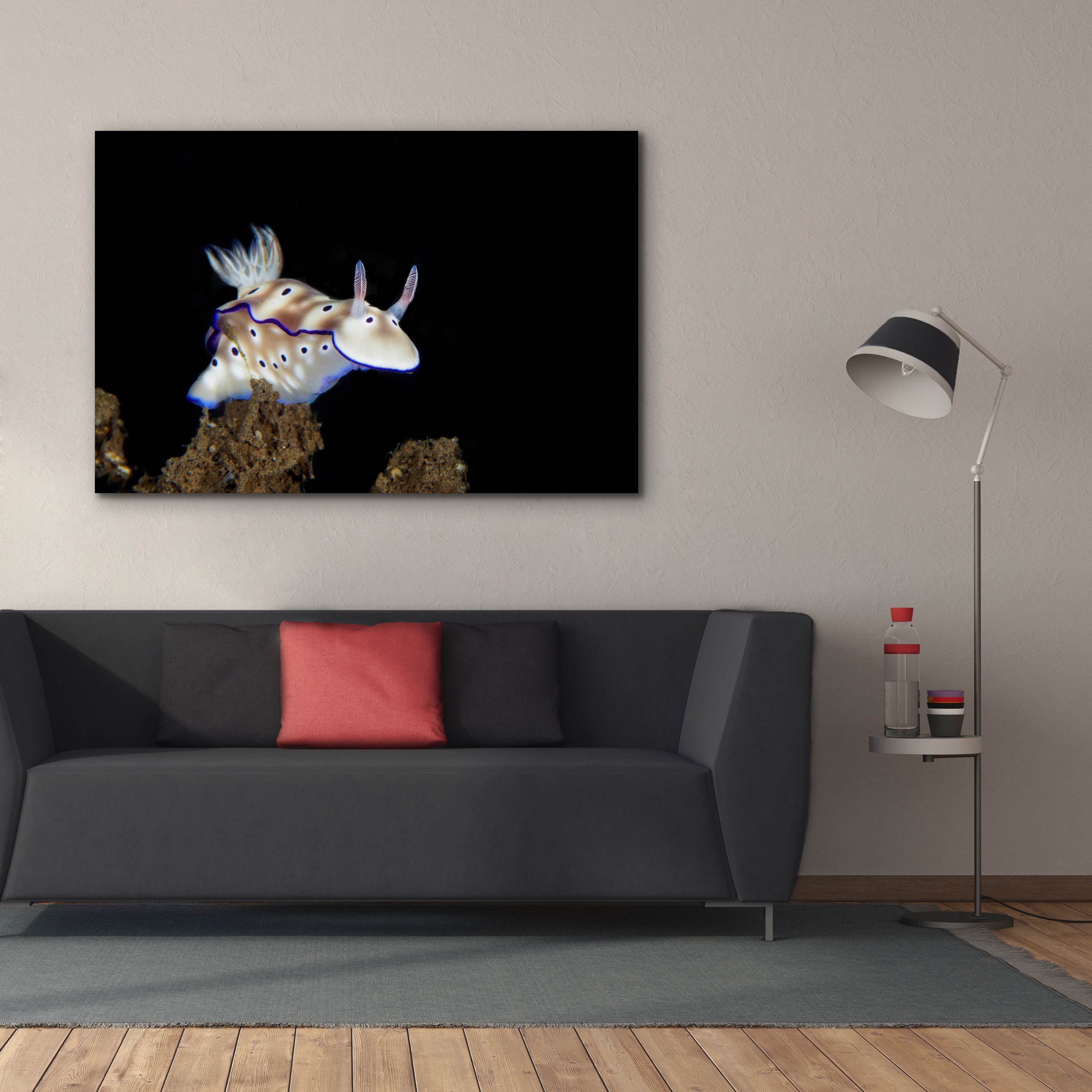 'Nudibranch On Coral Reef' by Epic Portfolio, Canvas Wall Art,60 x 40