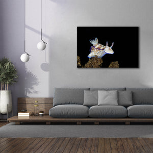 'Nudibranch On Coral Reef' by Epic Portfolio, Canvas Wall Art,60 x 40