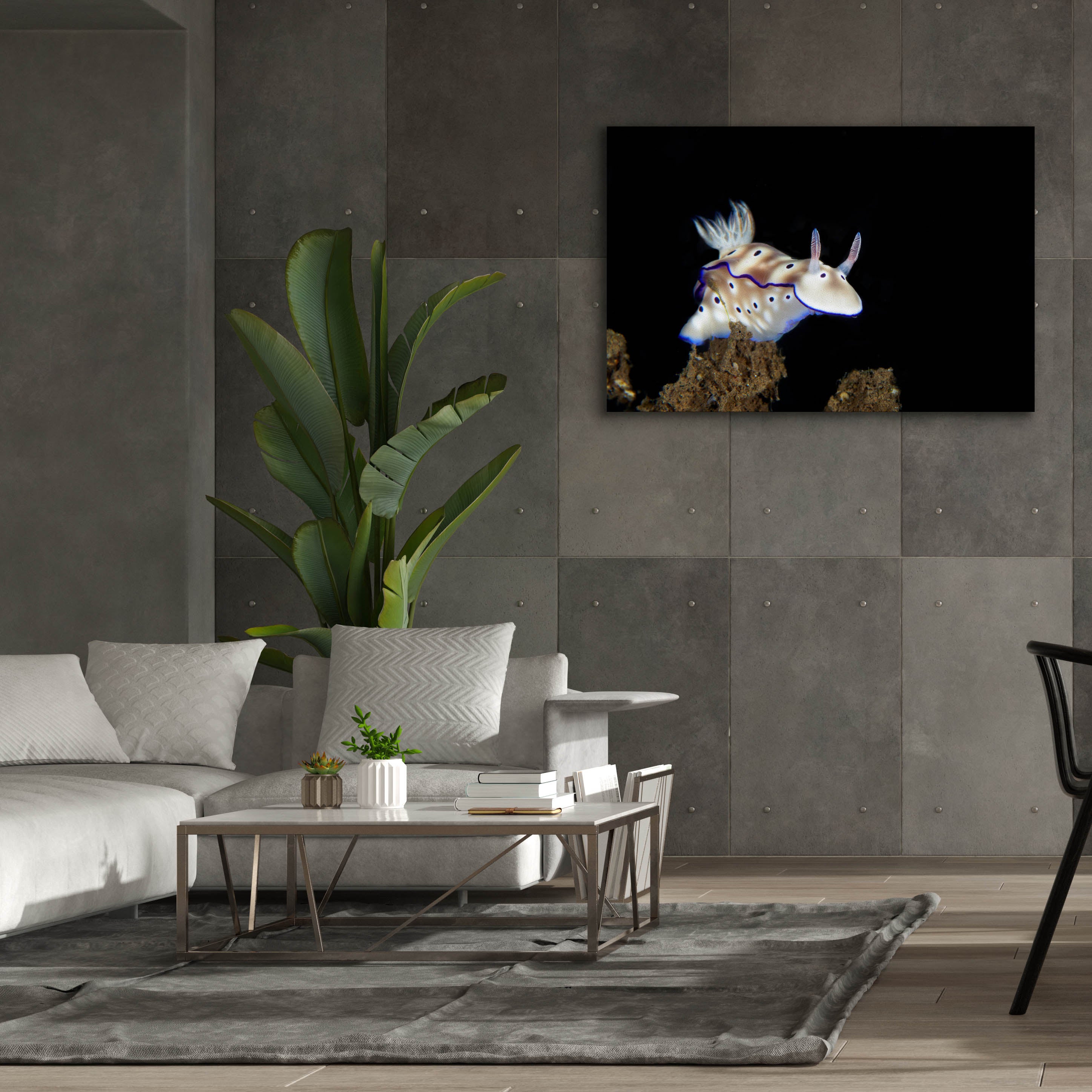 'Nudibranch On Coral Reef' by Epic Portfolio, Canvas Wall Art,60 x 40