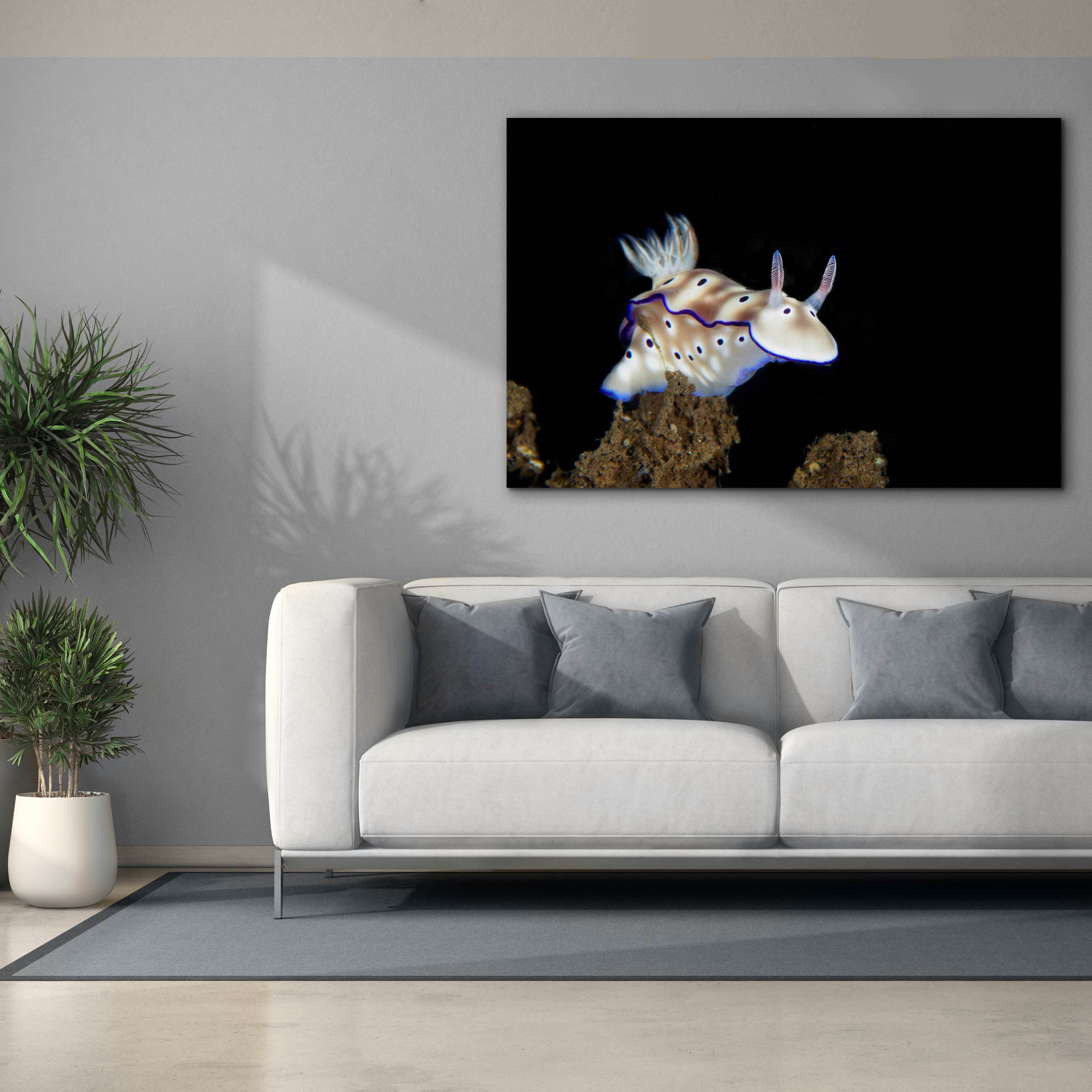 'Nudibranch On Coral Reef' by Epic Portfolio, Canvas Wall Art,60 x 40