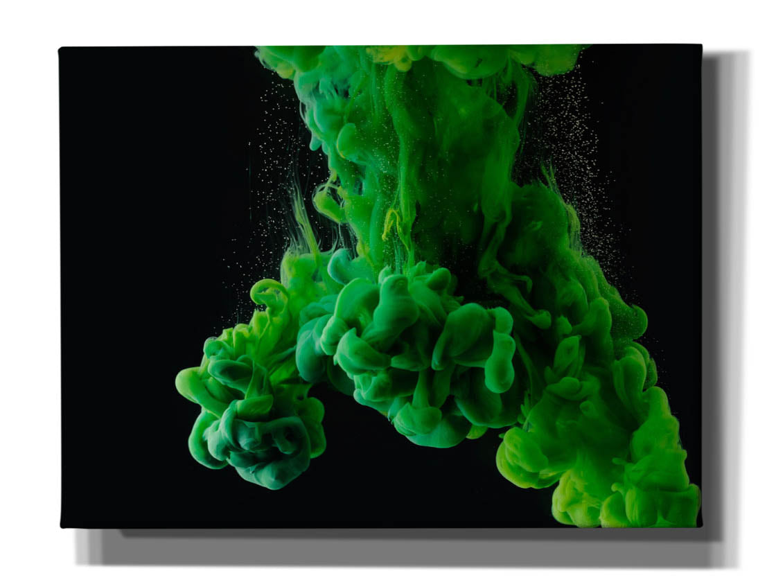 'Forest' by Epic Portfolio, Canvas Wall Art