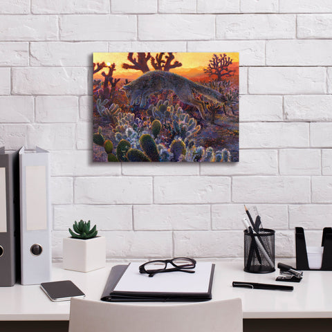 Image of 'Desert Urchin' by Iris Scott, Canvas Wall Art,16 x 12