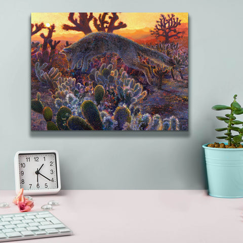 Image of 'Desert Urchin' by Iris Scott, Canvas Wall Art,16 x 12