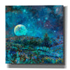 'New Mexico Moonrise ' by Iris Scott, Canvas Wall Art