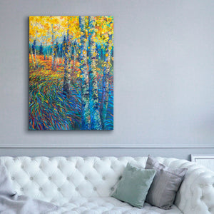 'Beyond Candyland' by Iris Scott, Canvas Wall Art,40 x 54