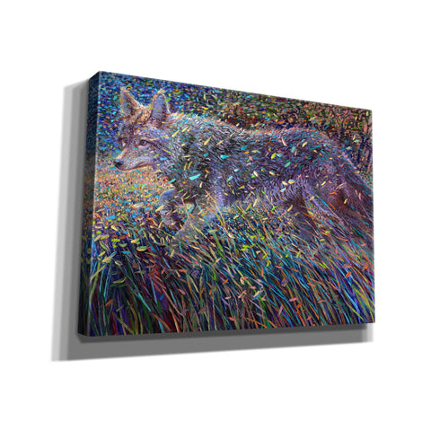 Image of 'Coyote Satin' by Iris Scott, Canvas Wall Art