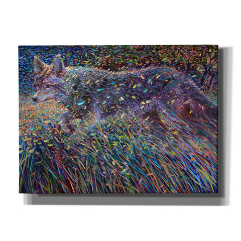 Image of 'Coyote Satin' by Iris Scott, Canvas Wall Art