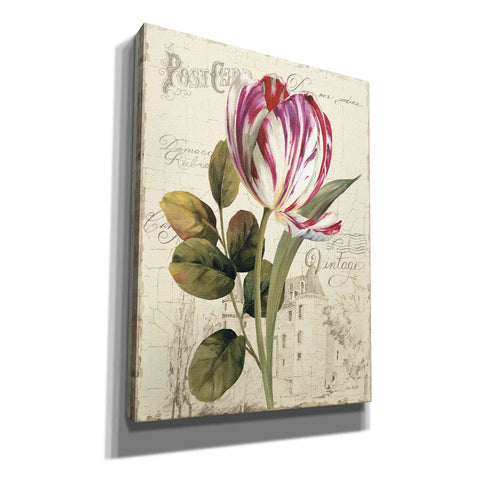 Image of 'Garden View II' by Lisa Audit Canvas Wall Art