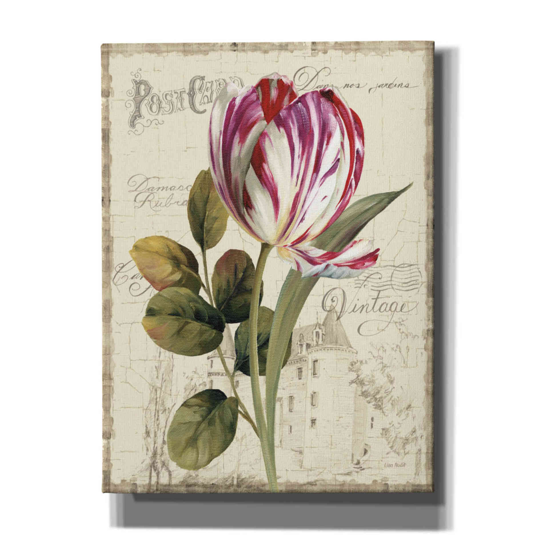 'Garden View II' by Lisa Audit Canvas Wall Art