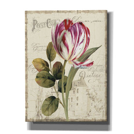 'Garden View II' by Lisa Audit Canvas Wall Art