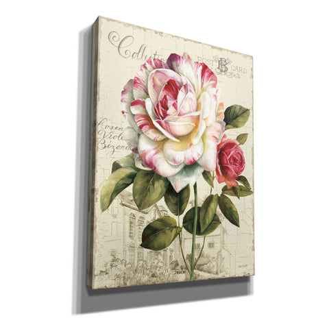 Image of 'Garden View III' by Lisa Audit Canvas Wall Art