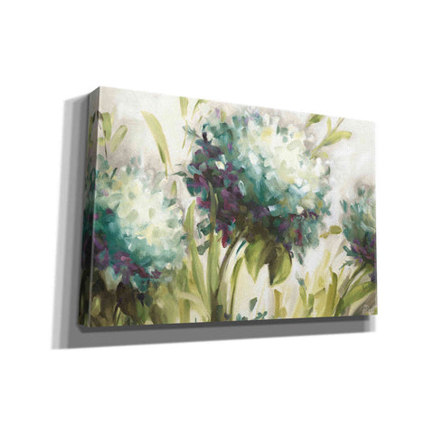 Image of 'Hydrangea Field' by Lisa Audit, Canvas Wall Art