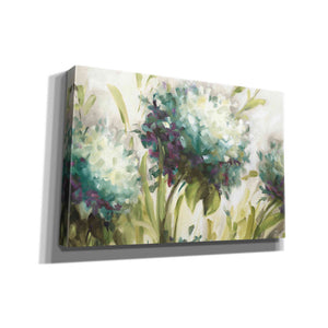 'Hydrangea Field' by Lisa Audit, Canvas Wall Art