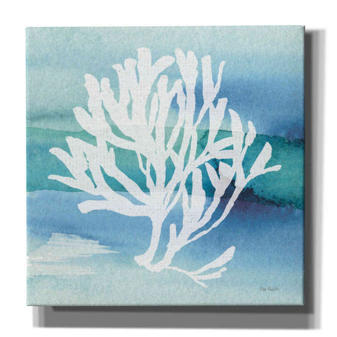 Image of 'Sea Life Coral I' by Lisa Audit, Canvas Wall Art