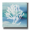 'Sea Life Coral I' by Lisa Audit, Canvas Wall Art