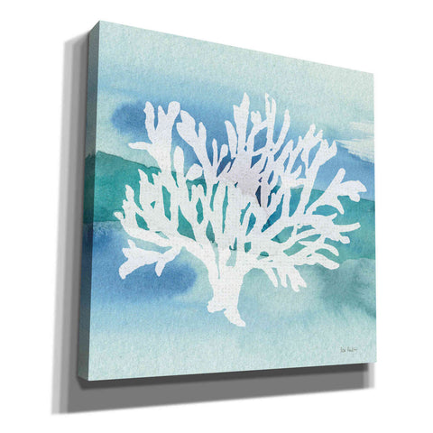 Image of 'Sea Life Coral II' by Lisa Audit, Canvas Wall Art