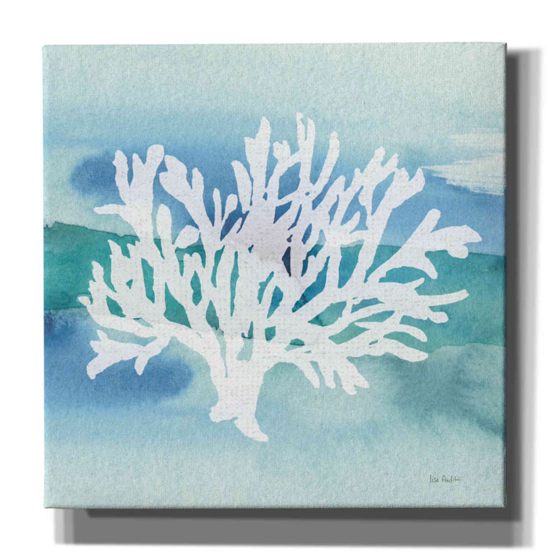 'Sea Life Coral II' by Lisa Audit, Canvas Wall Art